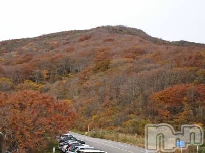 長岡デリヘル 人妻楼　長岡店(ヒトヅマロウ　ナガオカテン) なな(43)の11月1日写メブログ「みてきました。」