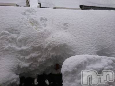 長岡デリヘル 人妻楼　長岡店(ヒトヅマロウ　ナガオカテン) なな(43)の1月11日写メブログ「どうですか？」