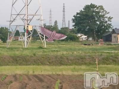 長岡デリヘル 人妻楼　長岡店(ヒトヅマロウ　ナガオカテン) なな(43)の6月8日写メブログ「私の勘違い(笑)」