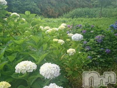 長岡デリヘル 人妻楼　長岡店(ヒトヅマロウ　ナガオカテン) なな(43)の6月23日写メブログ「明るいニュース」