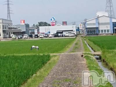長岡デリヘル 人妻楼　長岡店(ヒトヅマロウ　ナガオカテン) なな(43)の6月28日写メブログ「これまた・・」