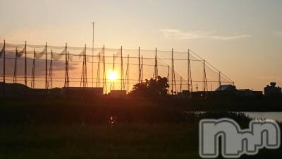 長岡デリヘル 人妻楼　長岡店(ヒトヅマロウ　ナガオカテン) なな(43)の7月19日写メブログ「何を捕らえた？」