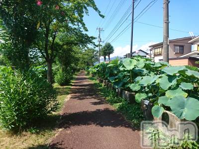 長岡デリヘル 人妻楼　長岡店(ヒトヅマロウ　ナガオカテン) なな(43)の7月30日写メブログ「ご挨拶」