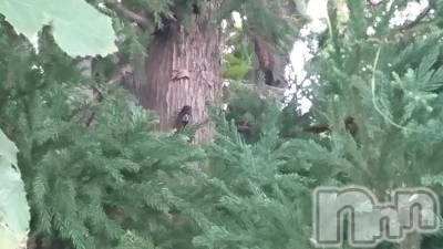 長岡デリヘル 人妻楼　長岡店(ヒトヅマロウ　ナガオカテン) なな(43)の8月25日写メブログ「マジかー！と」