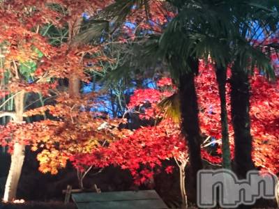 長岡デリヘル 人妻楼　長岡店(ヒトヅマロウ　ナガオカテン) なな(43)の11月28日写メブログ「柏崎の」