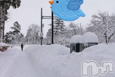 長岡デリヘル 人妻楼　長岡店(ヒトヅマロウ　ナガオカテン) なな(43)の2月7日写メブログ「積雪1メートル」