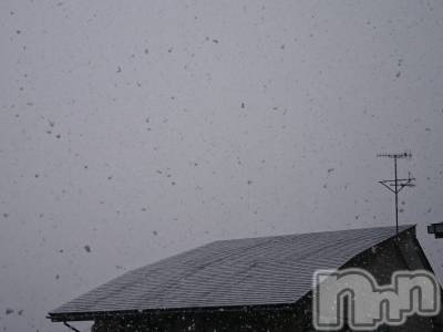 長岡デリヘル 人妻楼　長岡店(ヒトヅマロウ　ナガオカテン) なな(43)の2月16日写メブログ「雪が降ってきた！」