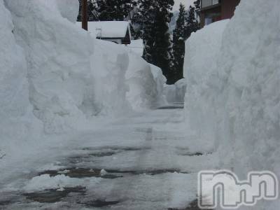 長岡デリヘル 人妻楼　長岡店(ヒトヅマロウ　ナガオカテン) なな(43)の2月23日写メブログ「積雪4メートル？」