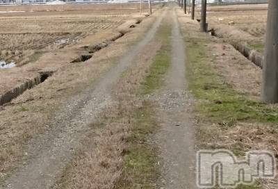 長岡デリヘル 人妻楼　長岡店(ヒトヅマロウ　ナガオカテン) なな(43)の2月28日写メブログ「近所の田んぼ道にて」