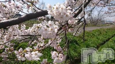 長岡デリヘル 人妻楼　長岡店(ヒトヅマロウ　ナガオカテン) なな(43)の4月10日写メブログ「やって来たね！」