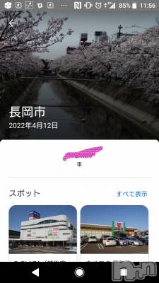 長岡デリヘル 人妻楼　長岡店(ヒトヅマロウ　ナガオカテン) なな(43)の4月16日写メブログ「最近の旅行」