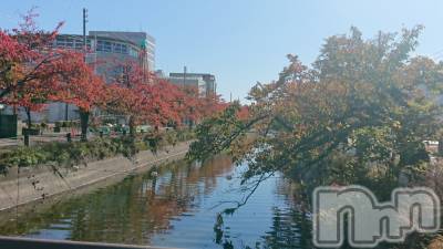 長岡デリヘル 人妻楼　長岡店(ヒトヅマロウ　ナガオカテン) なな(43)の10月31日写メブログ「長岡の駅の」