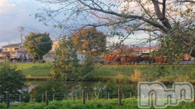 長岡デリヘル 人妻楼　長岡店(ヒトヅマロウ　ナガオカテン) なな(43)の11月6日写メブログ「ウワサの真相」