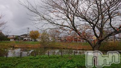長岡デリヘル 人妻楼　長岡店(ヒトヅマロウ　ナガオカテン) なな(43)の11月30日写メブログ「今日しました。」