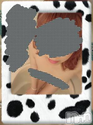 長岡デリヘル 人妻楼　長岡店(ヒトヅマロウ　ナガオカテン) なな(43)の2月22日写メブログ「バイバイだね。」