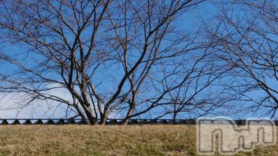 長岡デリヘル 人妻楼　長岡店(ヒトヅマロウ　ナガオカテン) なな(43)の2月28日写メブログ「沢山の方が」