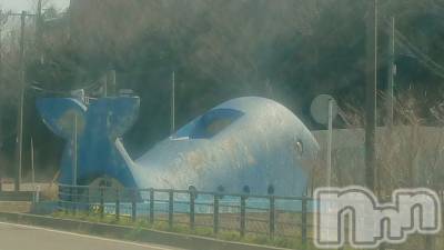 長岡デリヘル 人妻楼　長岡店(ヒトヅマロウ　ナガオカテン) なな(43)の3月29日写メブログ「くじらなみの🐳」