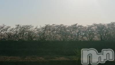 長岡デリヘル 人妻楼　長岡店(ヒトヅマロウ　ナガオカテン) なな(43)の4月2日写メブログ「そんなワタシです(笑)」