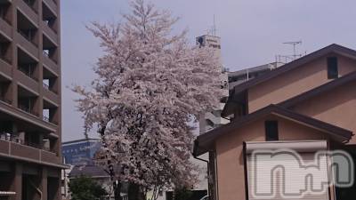 長岡デリヘル 人妻楼　長岡店(ヒトヅマロウ　ナガオカテン) なな(43)の4月5日写メブログ「長岡は」