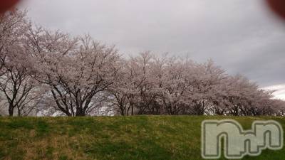 長岡デリヘル 人妻楼　長岡店(ヒトヅマロウ　ナガオカテン) なな(43)の4月6日写メブログ「駐車場が満車に」