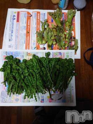 長岡デリヘル 人妻楼　長岡店(ヒトヅマロウ　ナガオカテン) なな(43)の4月14日写メブログ「合ってるよね？」