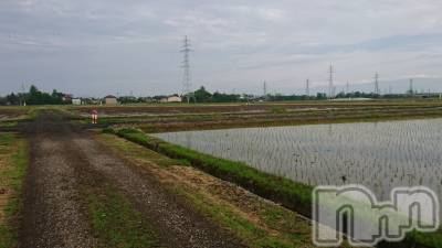 長岡デリヘル 人妻楼　長岡店(ヒトヅマロウ　ナガオカテン) なな(43)の5月19日写メブログ「発見！」