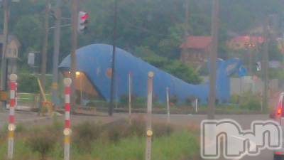 長岡デリヘル 人妻楼　長岡店(ヒトヅマロウ　ナガオカテン) なな(43)の6月11日写メブログ「鯨波鯨ちゃんの💡」