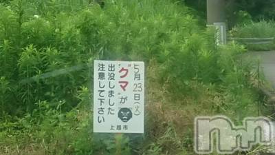 長岡デリヘル 人妻楼　長岡店(ヒトヅマロウ　ナガオカテン) なな(43)の6月16日写メブログ「クマがでた！」