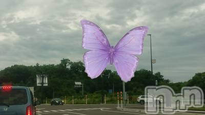 長岡デリヘル 人妻楼　長岡店(ヒトヅマロウ　ナガオカテン) なな(43)の6月22日写メブログ「柏崎のバイパス🚙🚙💨」