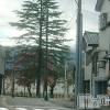 長岡人妻デリヘル 人妻楼　長岡店(ヒトヅマロウ　ナガオカテン) なな(43)の10月29日写メブログ「長蛇の列が出来てました。」