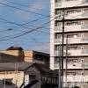 長岡人妻デリヘル 人妻楼　長岡店(ヒトヅマロウ　ナガオカテン) なな(43)の8月15日写メブログ「今日の長岡は」