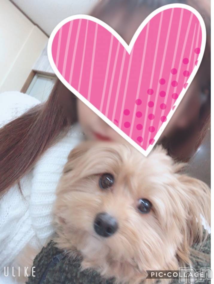 柏崎デリヘル(デリヘルカシワザキ)の2020年2月13日お店速報「可愛がってくれたら…お返ししちゃうゾ」