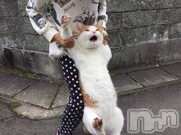 柏崎デリヘル(デリヘルカシワザキ)の2020年4月25日お店速報「猫脱走中～(=^・・^=)」