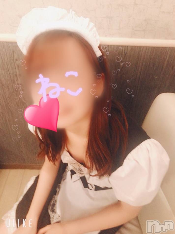 柏崎デリヘル(デリヘルカシワザキ)の2020年6月21日お店速報「イチオシのエステコースねこちゃんまだ空いております」