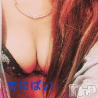 柏崎デリヘル デリヘル柏崎【柏崎唯一のデリヘル！地元新潟女性と会える店】(デリヘルカシワザキ)の5月17日お店速報「早番速報ー」