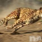 柏崎デリヘル デリヘル柏崎【柏崎唯一のデリヘル！地元新潟女性と会える店】(デリヘルカシワザキ)の1月17日お店速報「予約必須ですよ！！」