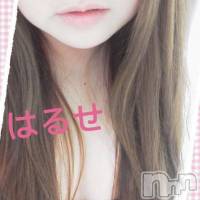 柏崎デリヘル デリヘル柏崎【柏崎唯一のデリヘル！地元新潟女性と会える店】(デリヘルカシワザキ)の4月23日お店速報「はるせちゃんご案内可能ですよ(*´д｀*)！！！」