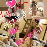 柏崎デリヘル デリヘル柏崎【柏崎唯一のデリヘル！地元新潟女性と会える店】(デリヘルカシワザキ)の4月20日お店速報「まだまだいっぱい遊べちゃいますよ！！」