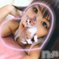 柏崎デリヘル デリヘル柏崎【柏崎唯一のデリヘル！地元新潟女性と会える店】(デリヘルカシワザキ)の9月29日お店速報「超★レア顔出し★さきちゃん出勤中！」