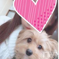 柏崎デリヘル デリヘル柏崎【柏崎唯一のデリヘル！地元新潟女性と会える店】(デリヘルカシワザキ)の2月13日お店速報「可愛がってくれたら…お返ししちゃうゾ」