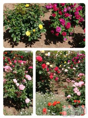 上田発デリヘル 人妻華道 上田店(ヒトヅマハナミチウエダテン) 【熟女】ちひろ (46)の6月23日写メブログ「いい天気だね。」