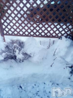 松本駅前キャバクラ・クラブclub Eight(クラブ エイト) とも(34)の1月18日写メブログ「やっと雪!!」