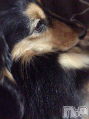 松本駅前キャバクラ・クラブclub Eight(クラブ エイト) とも(34)の2月15日写メブログ「おはよう〜」