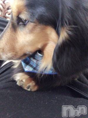 松本駅前キャバクラ・クラブclub Eight(クラブ エイト) とも(34)の4月3日写メブログ「この場所が、、、」