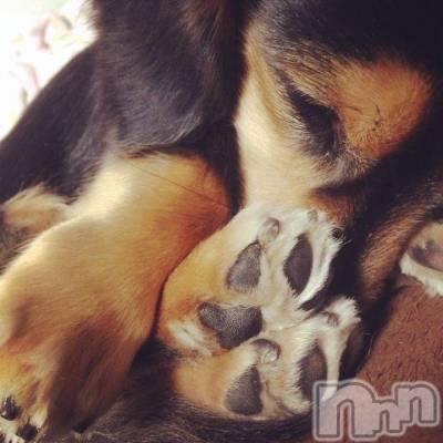 松本駅前キャバクラ・クラブclub Eight(クラブ エイト) とも(34)の4月26日写メブログ「寝方‼︎(>_<)」