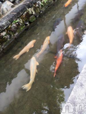 松本駅前キャバクラ・クラブclub Eight(クラブ エイト) とも(34)の5月2日写メブログ「ドーン‼︎‼︎」