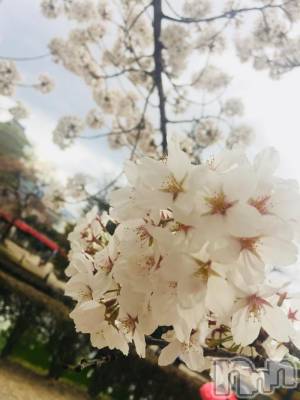 松本駅前キャバクラ・クラブclub Eight(クラブ エイト) とも(34)の4月6日写メブログ「結構来てます!」