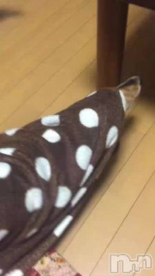 줿