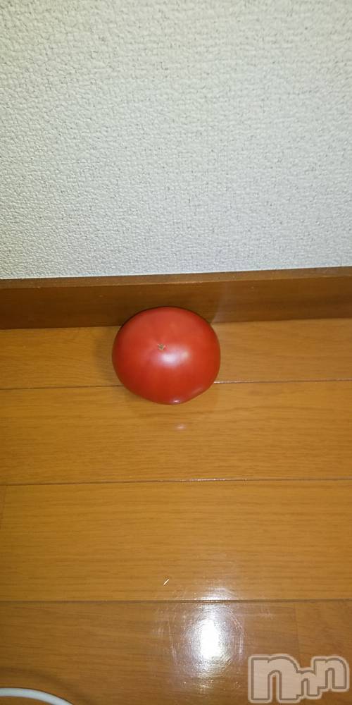 上田発デリヘル人妻華道 上田店(ヒトヅマハナミチウエダテン) 【熟女】春美(45)の1月30日写メブログ「トマト」