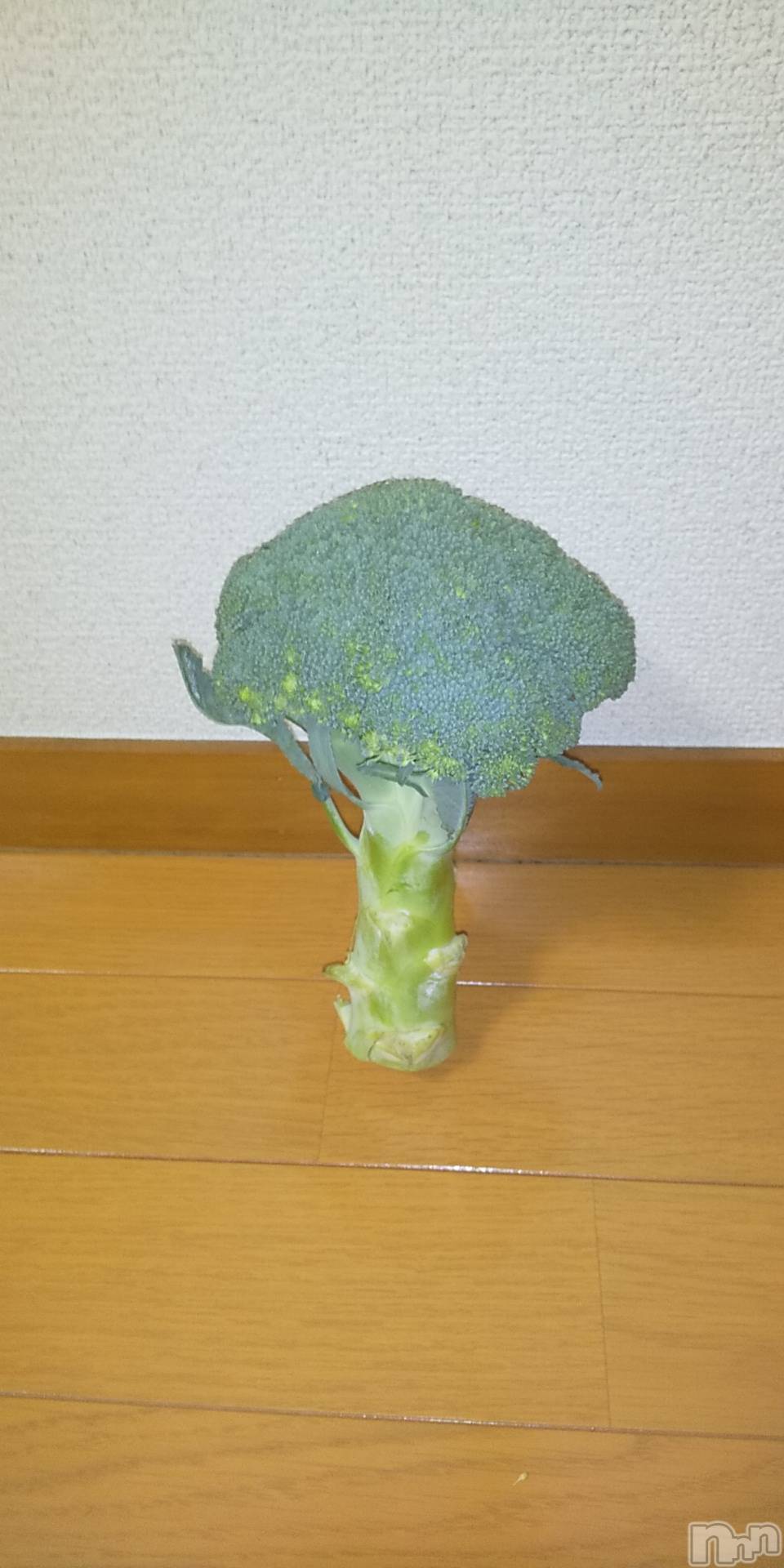 上田発デリヘル人妻華道 上田店(ヒトヅマハナミチウエダテン)【熟女】春美(45)の2020年12月7日写メブログ「やらかしました」